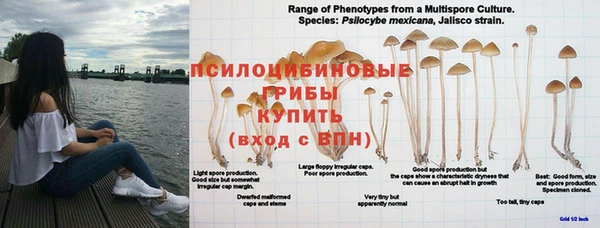 MDMA Premium VHQ Верхнеуральск