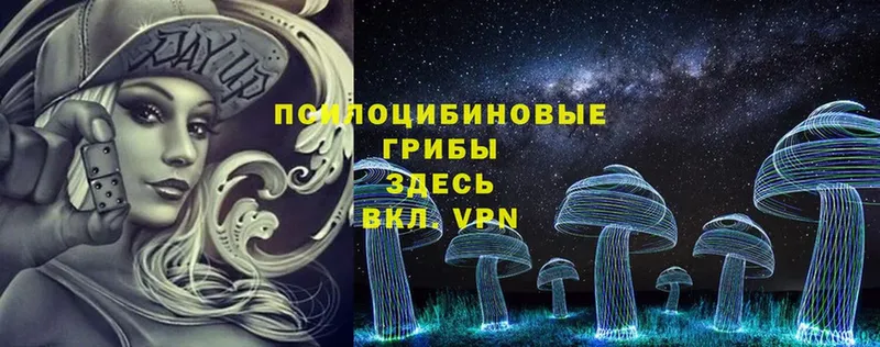 Галлюциногенные грибы Psilocybine cubensis  omg ТОР  Агрыз 